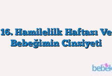 16. Hamilelilk Haftası Ve Bebeğimin Cinsiyeti