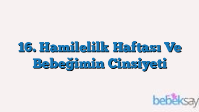 16. Hamilelilk Haftası Ve Bebeğimin Cinsiyeti