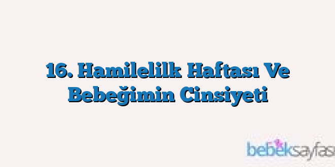 16. Hamilelilk Haftası Ve Bebeğimin Cinsiyeti