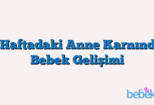 35. Haftadaki Anne Karnındaki Bebek Gelişimi