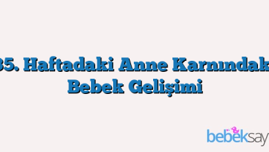 35. Haftadaki Anne Karnındaki Bebek Gelişimi