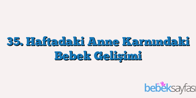 35. Haftadaki Anne Karnındaki Bebek Gelişimi
