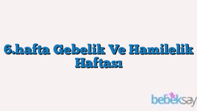 6.hafta Gebelik Ve Hamilelik Haftası