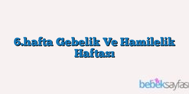 6.hafta Gebelik Ve Hamilelik Haftası