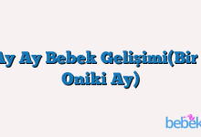 Ay Ay Bebek Gelişimi(Bir – Oniki Ay)