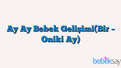 Ay Ay Bebek Gelişimi(Bir – Oniki Ay)