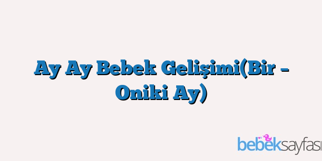 Ay Ay Bebek Gelişimi(Bir – Oniki Ay)