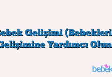 Bebek Gelişimi (Bebeklerin Gelişimine Yardımcı Olun)