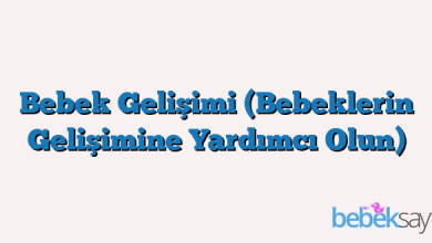 Bebek Gelişimi (Bebeklerin Gelişimine Yardımcı Olun)