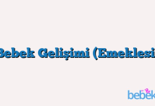 Bebek Gelişimi (Emeklesi)