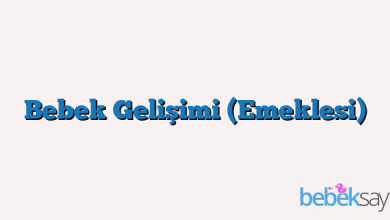 Bebek Gelişimi (Emeklesi)