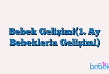 Bebek Gelişimi(1. Ay Bebeklerin Gelişimi)