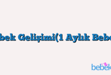 Bebek Gelişimi(1 Aylık Bebek)