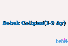 Bebek Gelişimi(1-9 Ay)