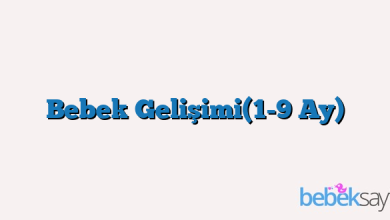 Bebek Gelişimi(1-9 Ay)