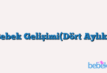 Bebek Gelişimi(Dört Aylık )