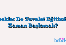Bebekler De Tuvalet Eğitimi Ne Zaman Başlamalı?
