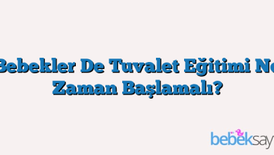 Bebekler De Tuvalet Eğitimi Ne Zaman Başlamalı?