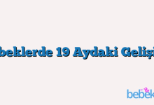 Bebeklerde 19 Aydaki Gelişimi