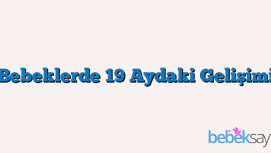 Bebeklerde 19 Aydaki Gelişimi