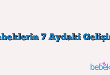 Bebeklerin 7 Aydaki Gelişimi