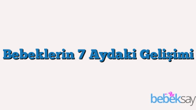 Bebeklerin 7 Aydaki Gelişimi
