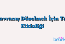 Davranış Düzelmek İçin Taş Etkinliği