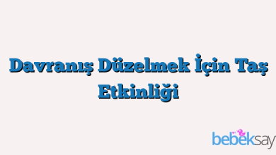 Davranış Düzelmek İçin Taş Etkinliği