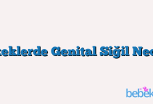 Erkeklerde Genital Siğil Nedir?
