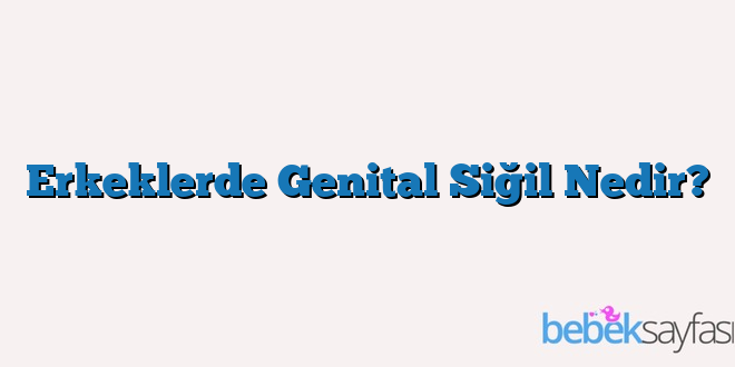 Erkeklerde Genital Siğil Nedir?