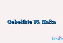 Gebelikte 16. Hafta