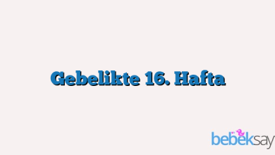 Gebelikte 16. Hafta