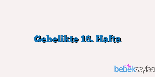Gebelikte 16. Hafta