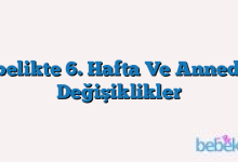 Gebelikte 6. Hafta Ve Annedeki Değişiklikler