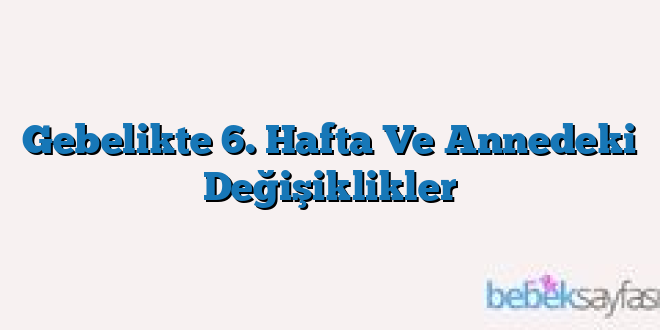 Gebelikte 6. Hafta Ve Annedeki Değişiklikler
