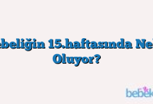 Gebeliğin 15.haftasında Neler Oluyor?