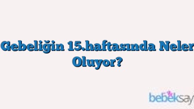 Gebeliğin 15.haftasında Neler Oluyor?
