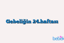 Gebeliğin 24.haftası