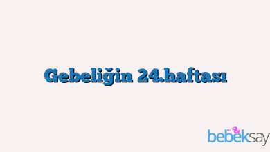 Gebeliğin 24.haftası