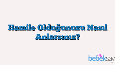 Hamile Olduğunuzu Nasıl Anlarsınız?