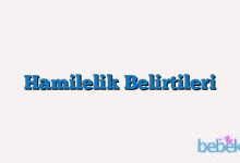 Hamilelik Belirtileri