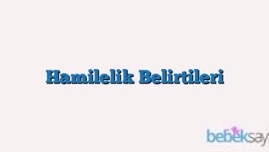 Hamilelik Belirtileri