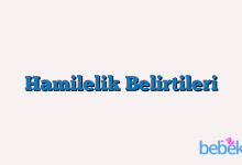 Hamilelik Belirtileri