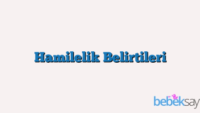 Hamilelik Belirtileri