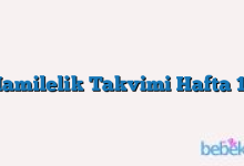 Hamilelik Takvimi Hafta 15