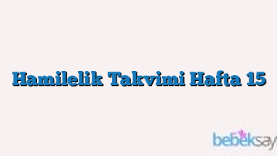 Hamilelik Takvimi Hafta 15