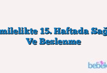 Hamilelikte 15. Haftada Sağlık Ve Beslenme