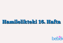 Hamilelikteki 16. Hafta
