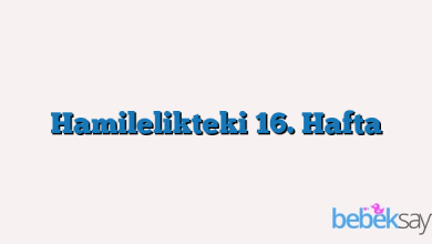 Hamilelikteki 16. Hafta