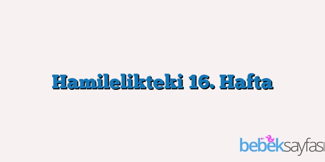 Hamilelikteki 16. Hafta